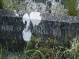 image of grave number 972900